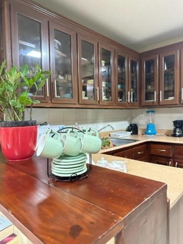 普拉塔港La Casa De Mama Luz公寓 外观 照片